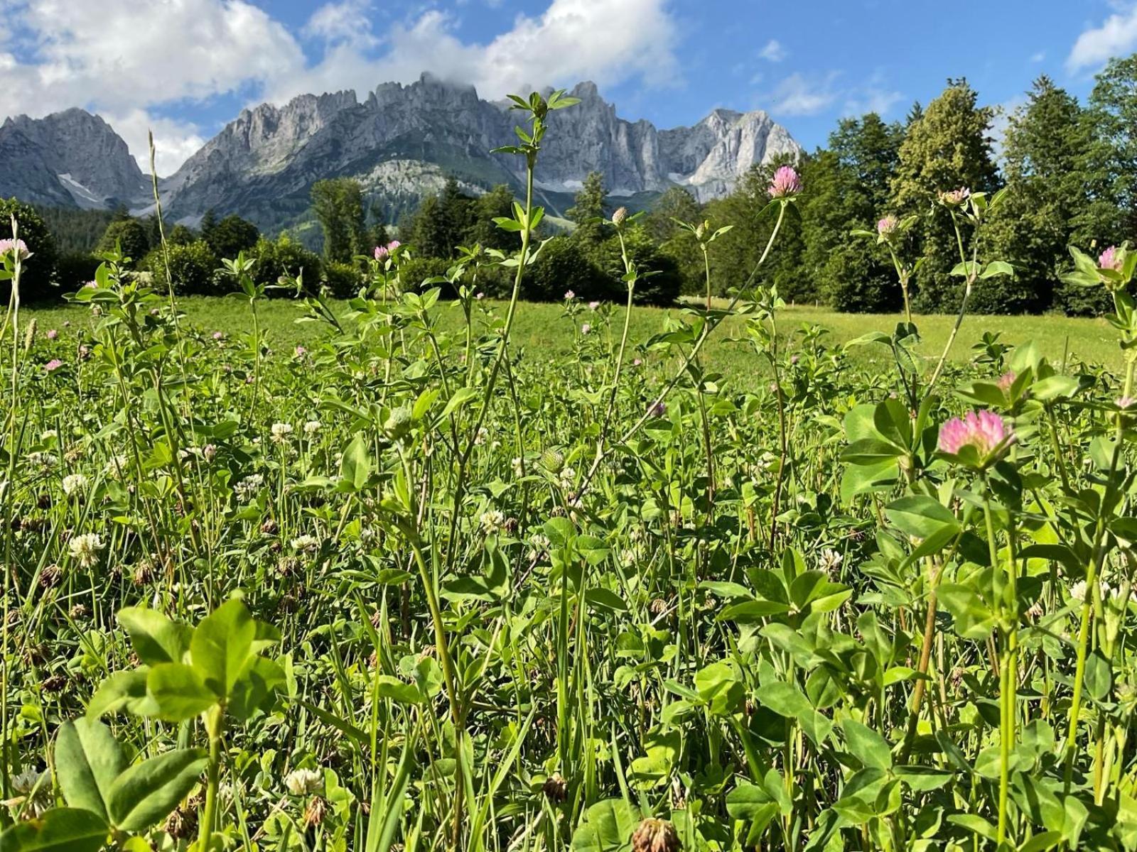 Stadtvilla Belle Kitz Im Zentrum Mit Sauna By Belle Holiday home Kitzbuhel
